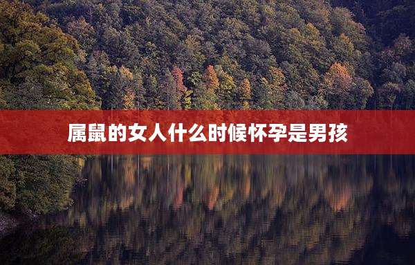 属鼠的女人什么时候怀孕是男孩