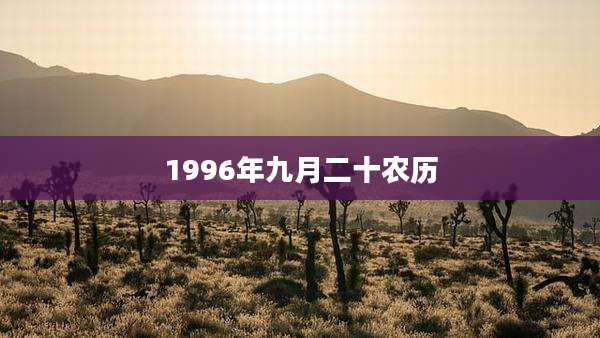 1996年九月二十农历