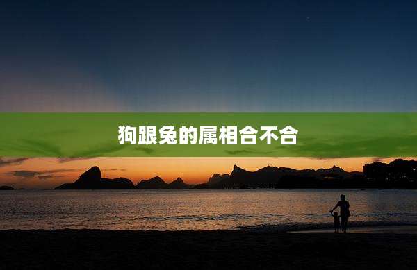 狗跟兔的属相合不合