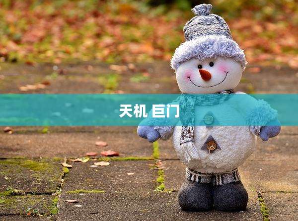 天机 巨门