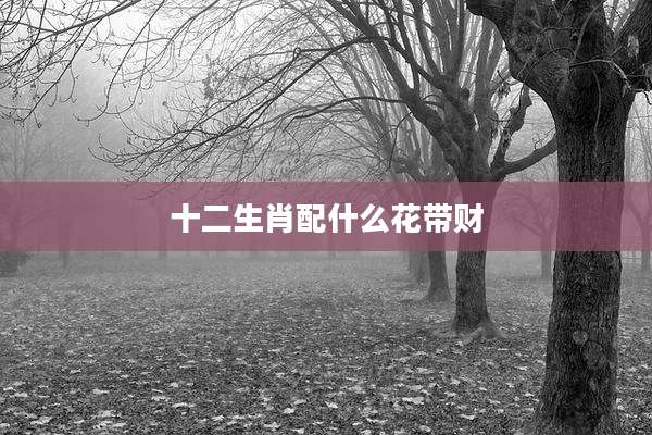十二生肖配什么花带财