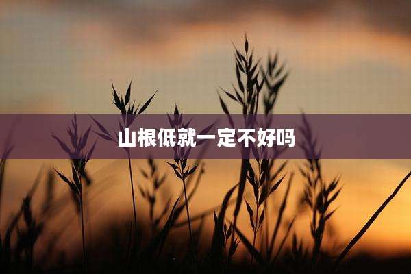 山根低就一定不好吗