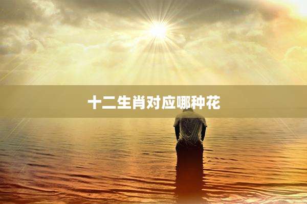十二生肖对应哪种花