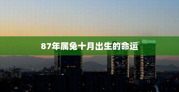 87年属兔十月出生的命运