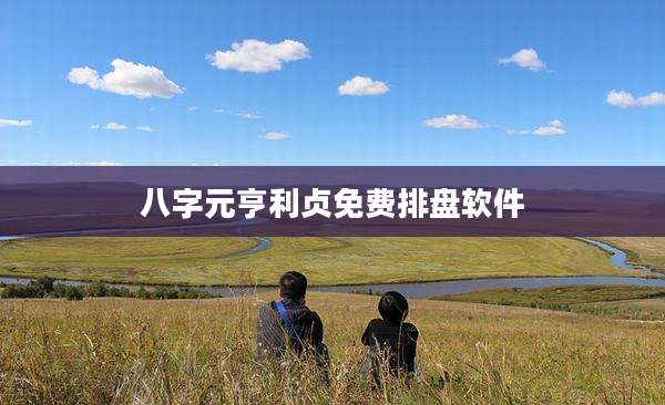 八字元亨利贞免费排盘软件
