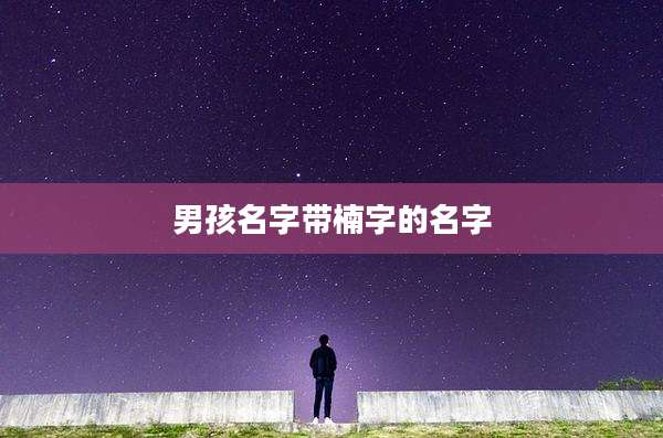 男孩名字带楠字的名字