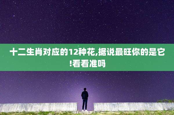 十二生肖对应的12种花,据说最旺你的是它!看看准吗