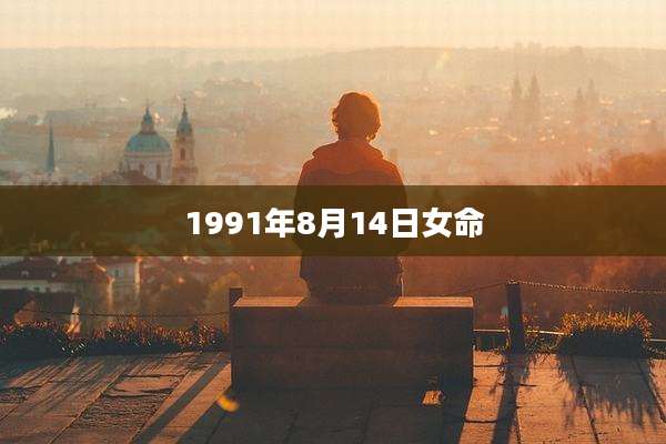 1991年8月14日女命