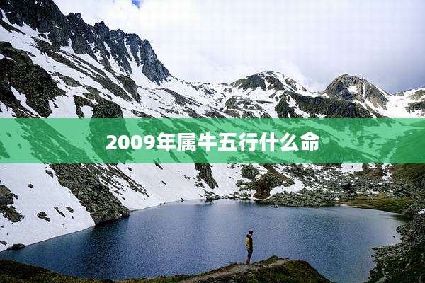 2009年属牛五行什么命