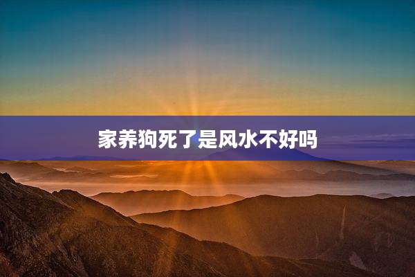家养狗死了是风水不好吗