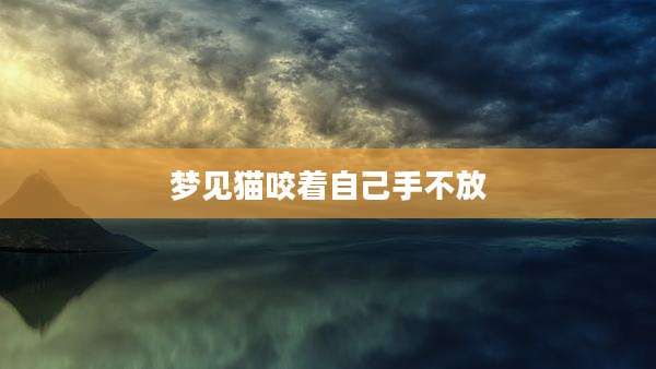 梦见猫咬着自己手不放