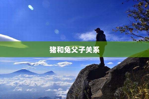 猪和兔父子关系