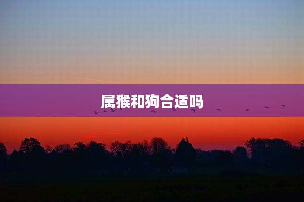 属猴和狗合适吗