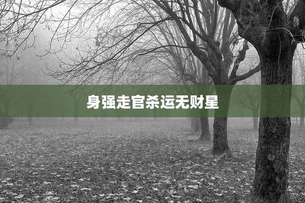 身强走官杀运无财星