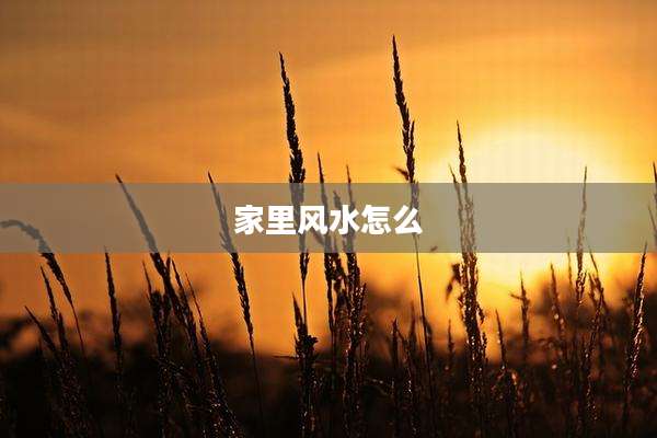 家里风水怎么