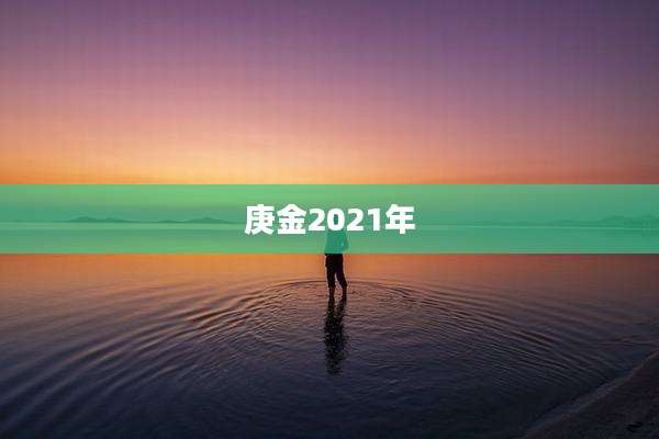 庚金2021年