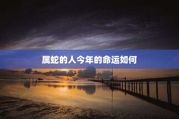 属蛇的人今年的命运如何