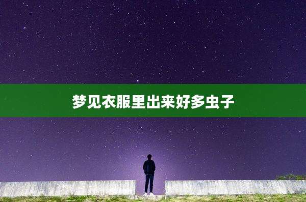 梦见衣服里出来好多虫子