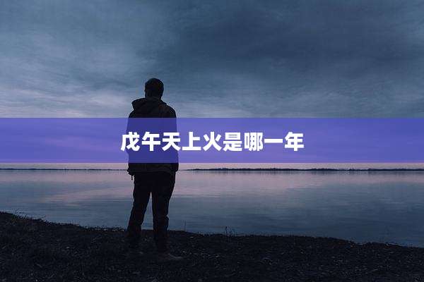 戊午天上火是哪一年