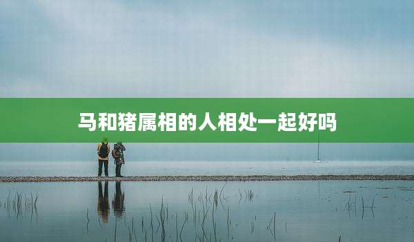 马和猪属相的人相处一起好吗