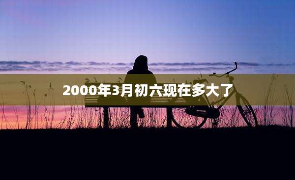 2000年3月初六现在多大了