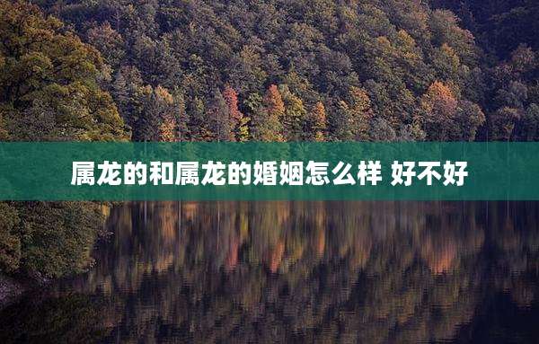属龙的和属龙的婚姻怎么样 好不好