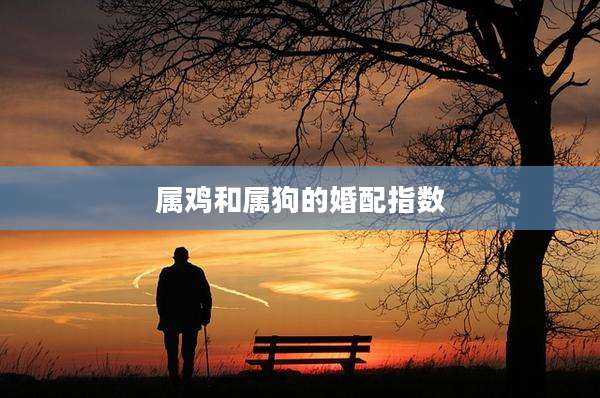 属鸡和属狗的婚配指数