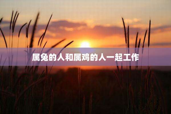 属兔的人和属鸡的人一起工作