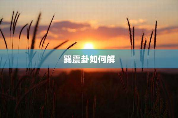 巽震卦如何解