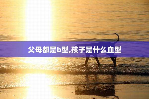 父母都是b型,孩子是什么血型