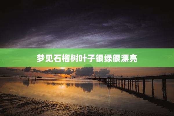 梦见石榴树叶子很绿很漂亮