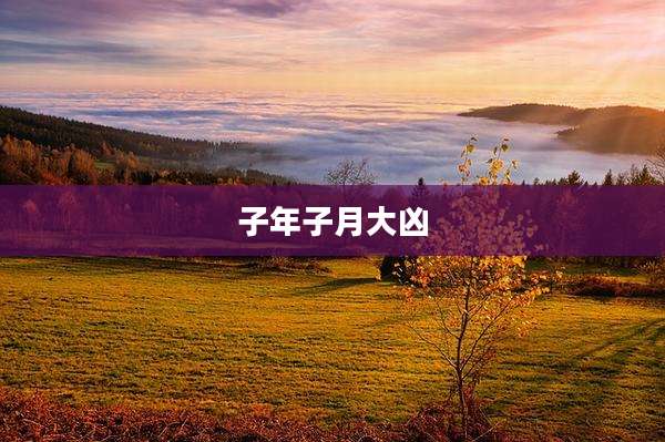 子年子月大凶