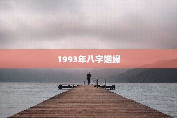 1993年八字姻缘
