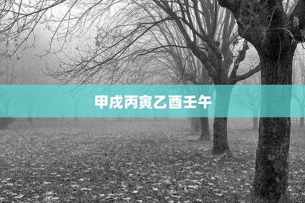 甲戌丙寅乙酉壬午