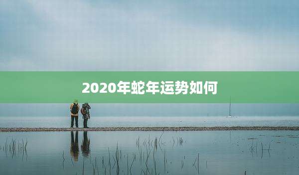 2020年蛇年运势如何