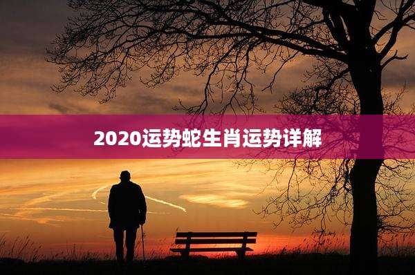 2020运势蛇生肖运势详解