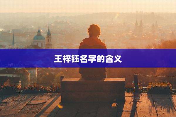 王梓钰名字的含义