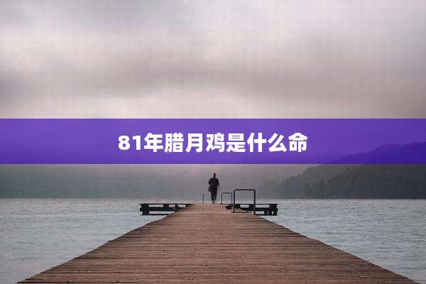 81年腊月鸡是什么命