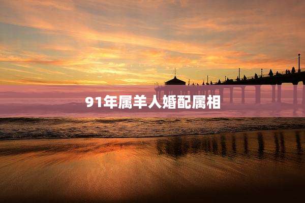 91年属羊人婚配属相