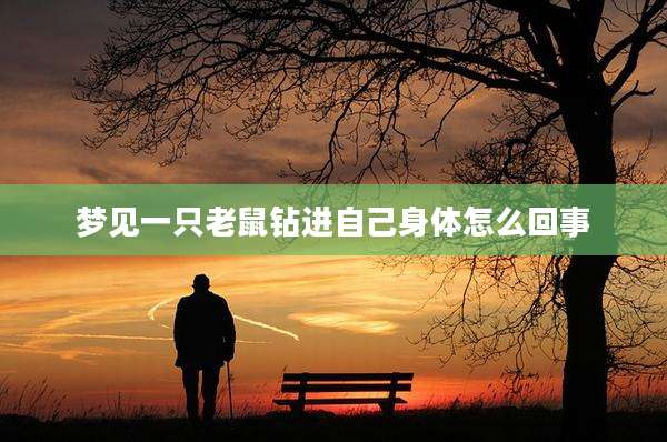 梦见一只老鼠钻进自己身体怎么回事