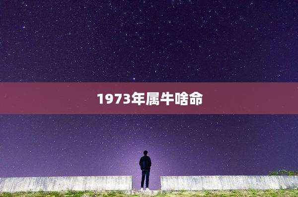 1973年属牛啥命