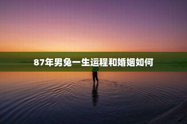 87年男兔一生运程和婚姻如何