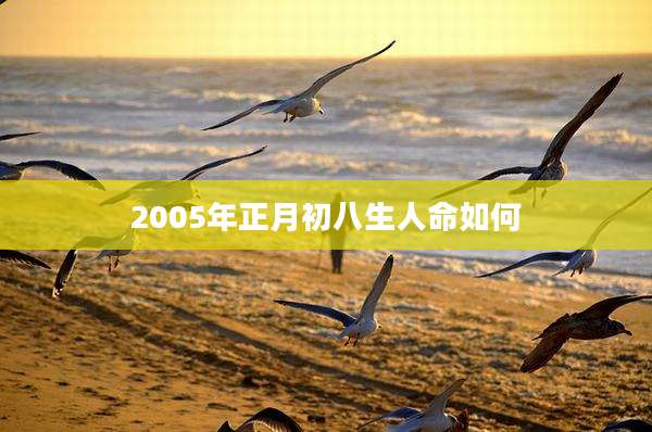 2005年正月初八生人命如何