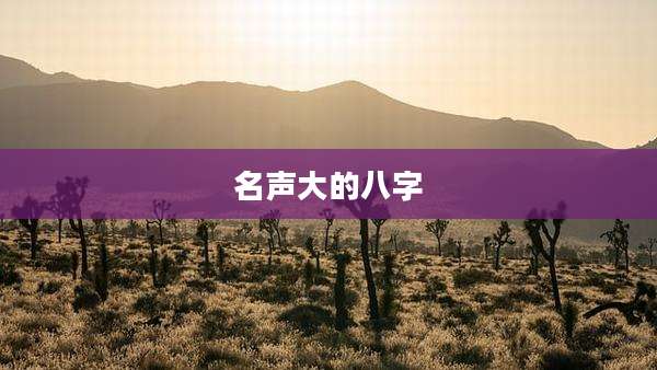 名声大的八字