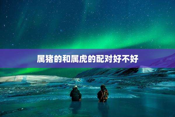 属猪的和属虎的配对好不好