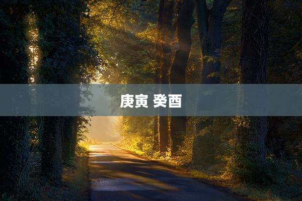 庚寅 癸酉
