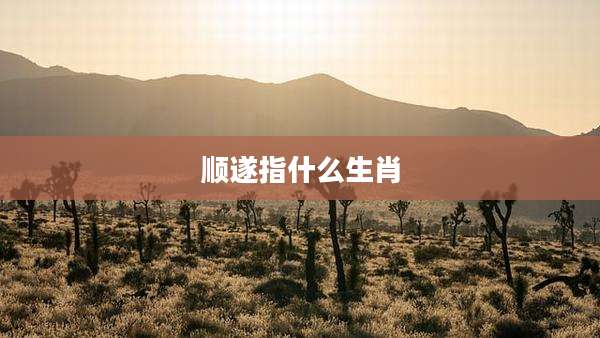 顺遂指什么生肖