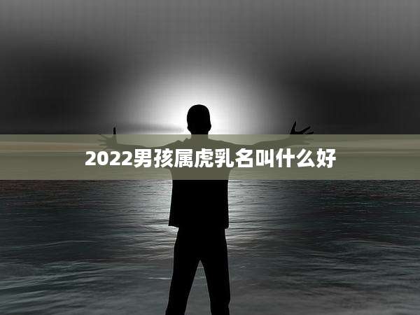 2022男孩属虎乳名叫什么好