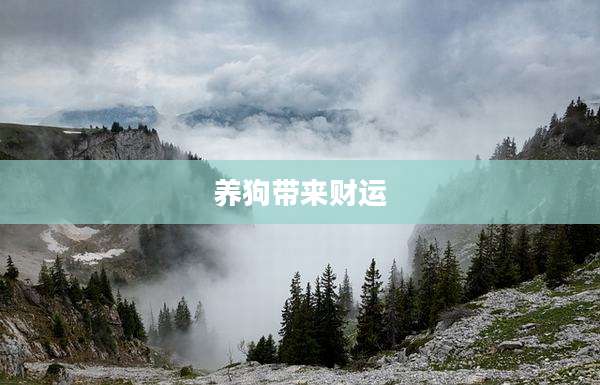 养狗带来财运