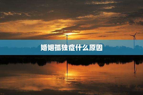 婚姻孤独症什么原因